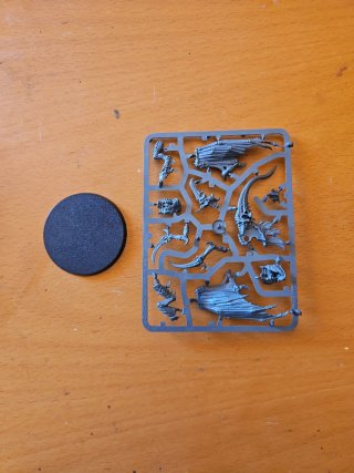 Tiranido Primus sprue y peana. Nuevo en matriz
