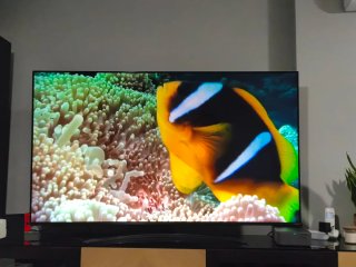 LG 65 4K NanoCell TV SM8200PLA