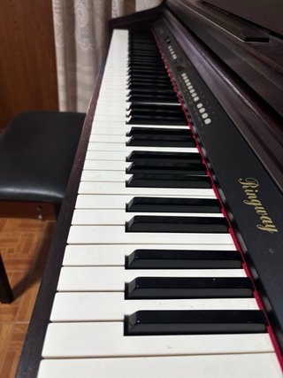 Piano Digital Ringway TG-8860