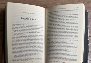 Harry Potter and the Order of the Phoenix (ingles)