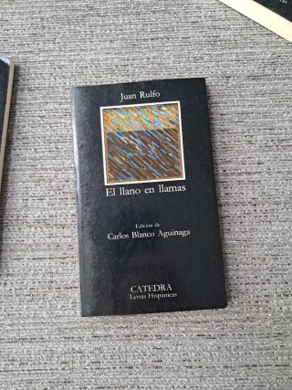 Lote de novelas clasicas
