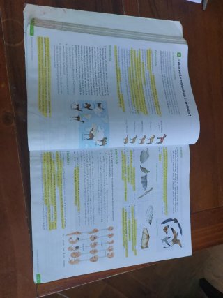 Biología y Geología, 4 Secundaria, Andalucía Re...