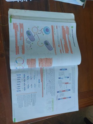 Biología y Geología, 4 Secundaria, Andalucía Re...