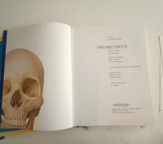 Prometheus texto y atlas de anatomía. Anatomía ...