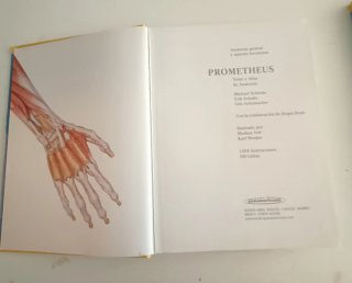 Prometheus texto y atlas de anatomía. Anatomía ...