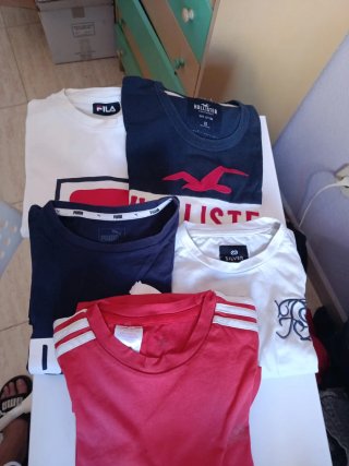 Lote 5 Camisetas Manga Corta Varias Marcas