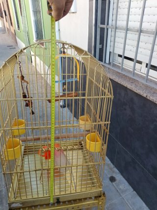 Jaula para pájaros (ninfas, agapornis)