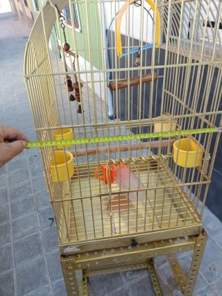Jaula para pájaros (ninfas, agapornis)