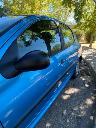 Peugeot 206 1.9 XRD