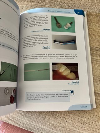 Estudio de la cavidad oral