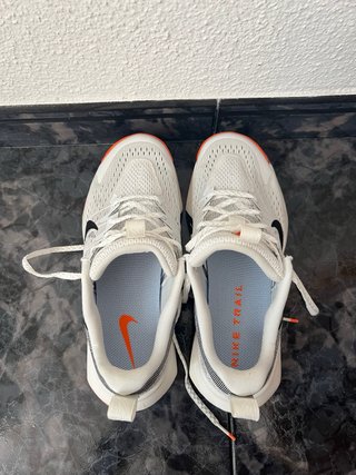 Nike Zapatillas Trail Running Wildhorse 10.