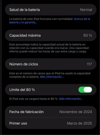 iPad Mini A17 Pro 256GB Gris Espacial