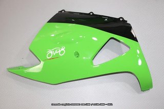 Oferta especial Carenado KAWASAKI ZZR 1400 2006 11