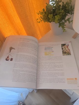 Lengua castellana y literatura, 1 BACH.