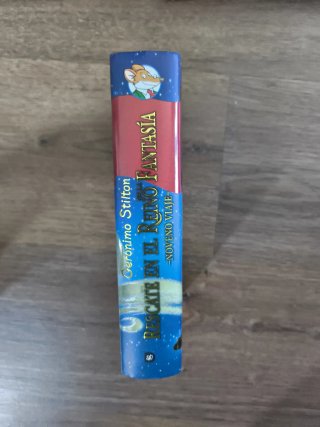 Rescate en el Reino de la Fantasía. Noveno viaje