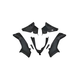 Carenado Honda CBR929RR 2000-2001 PINTADO