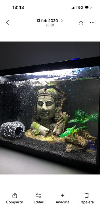 Acuario/terrario + accesorios para tortugas/peces