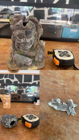 Acuario/terrario + accesorios para tortugas/peces