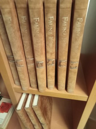 FAUNA IBÉRICA DE FELIX RODRIGUEZ DE LA FUENTE
