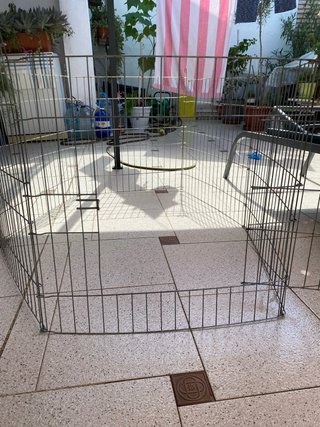 Jaula metálica para conejo