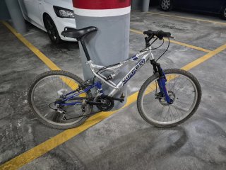 Pack bicicletas