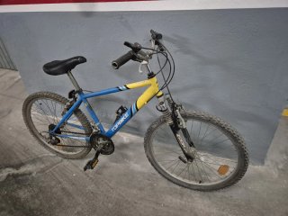 Pack bicicletas