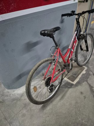 Pack bicicletas