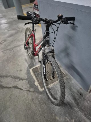 Pack bicicletas