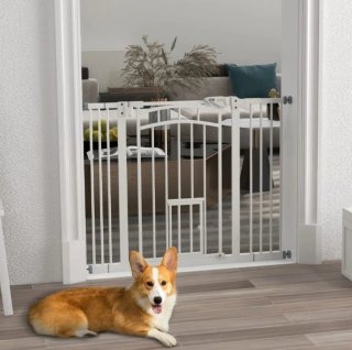 Barrera de seguridad para perros