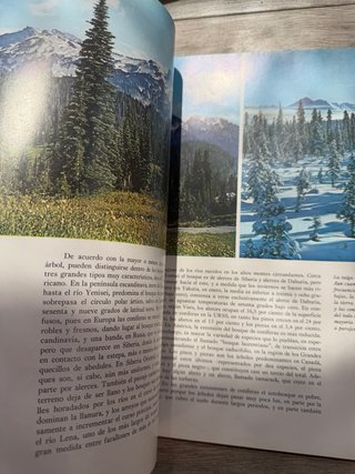 3 libros salvat enciclopedia fauna vintage