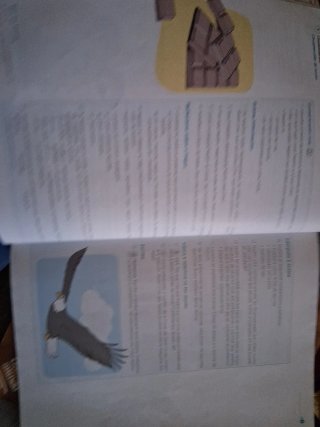 Lingua Galega e Literatura, 1 ESO, Operación mundo