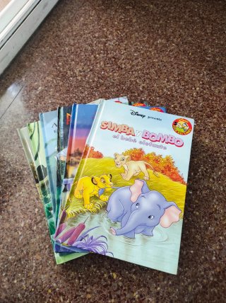 Lote de 16 libros Disney + 1 de regalo.