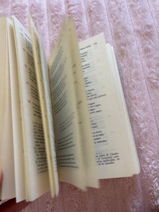 Libro de buen amor, juan Ruiz arcipreste de hita