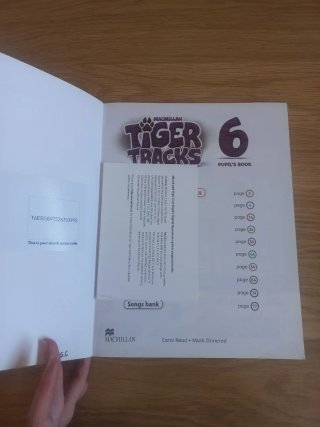 TIGER 6 Pb (ebook)