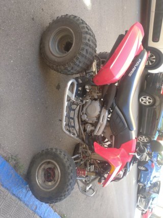 Quad Polaris 500 Predator