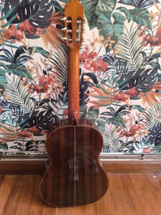 Guitarra Clásica Raimundo Modelo 140