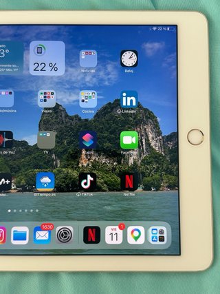iPad Pro 9,7 Oro