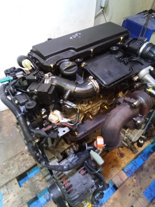 Motor PSA 1.4 HDI 8HZ Completo