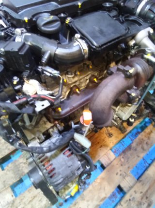 Motor PSA 1.4 HDI 8HZ Completo