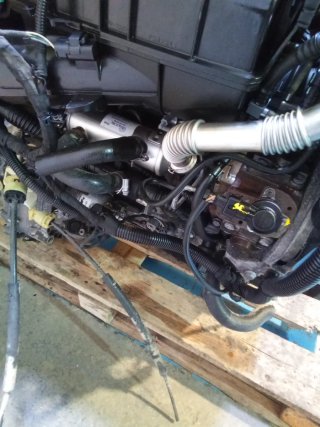 Motor PSA 1.4 HDI 8HZ Completo