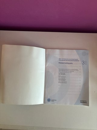 Breu història de les matemàtiques i algunes de les