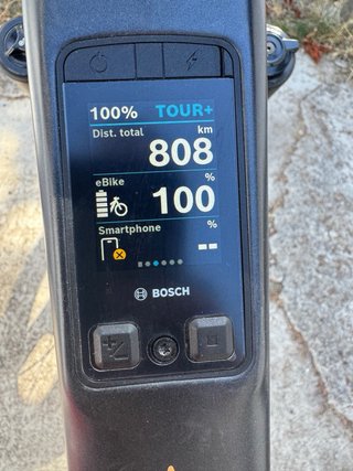 Orbea Wild M20 2026