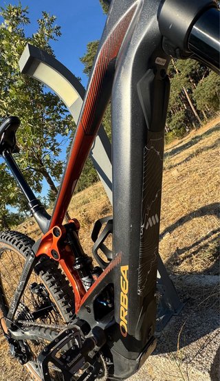 Orbea Wild M20 2026