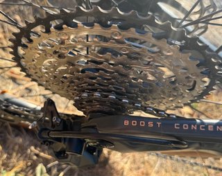Orbea Wild M20 2026