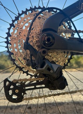Orbea Wild M20 2026