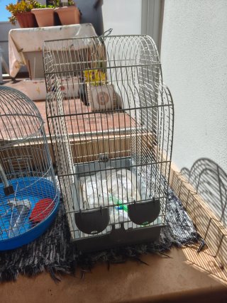 2 Jaulas para pájaros las vendo juntas