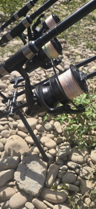Equipo Carpfishing: Alarmas, Carretes y Cañas