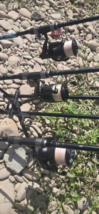 Equipo Carpfishing: Alarmas, Carretes y Cañas