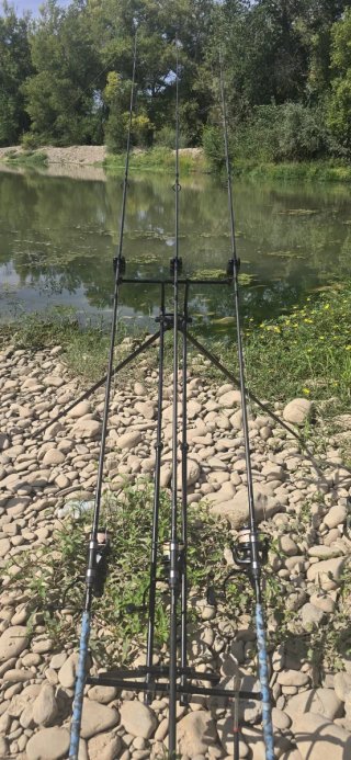 Equipo Carpfishing: Alarmas, Carretes y Cañas