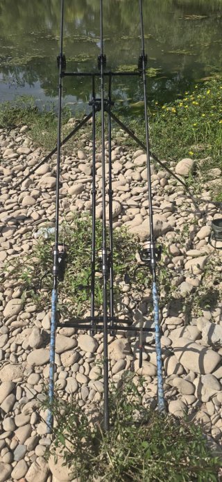 Equipo Carpfishing: Alarmas, Carretes y Cañas